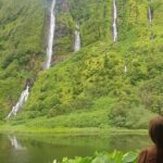Full Day Flower Island Tour - The Pickup and Logistics