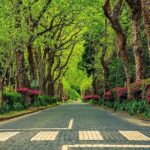 Full-Day Furnas Tour: Hot Springs, Traditional Lunch & Tea - FAQs