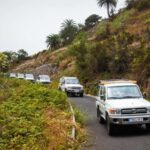 Full-Day Gomera Jeep Safari Excursion from Arona - The Experience: What Really Stands Out