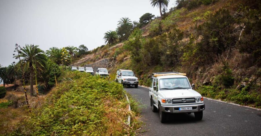 Full-Day Gomera Jeep Safari Excursion from Arona - The Experience: What Really Stands Out