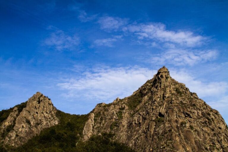 Full-Day Gomera Jeep Safari from Puerto de La Cruz - Who Should Consider This Tour?