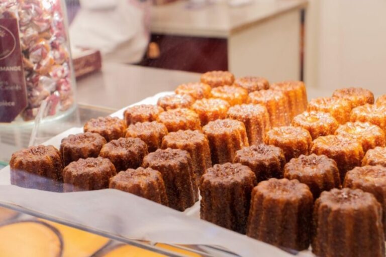 Full-Day gourmet tour & Medoc visit & tasting - Tasting & Food Experiences in Bordeaux