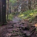 Full Day Hike to Charlies Bunion on the Appalachian Trail - What to Expect from the Full Day Hike