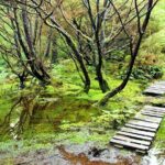 Full-Day Hiking Tour in Terceira Island - Mistérios Negros - Key Points