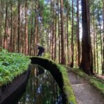 Full Day Hiking Trail in Lagoa do Fogo Sao Miguel - FAQ