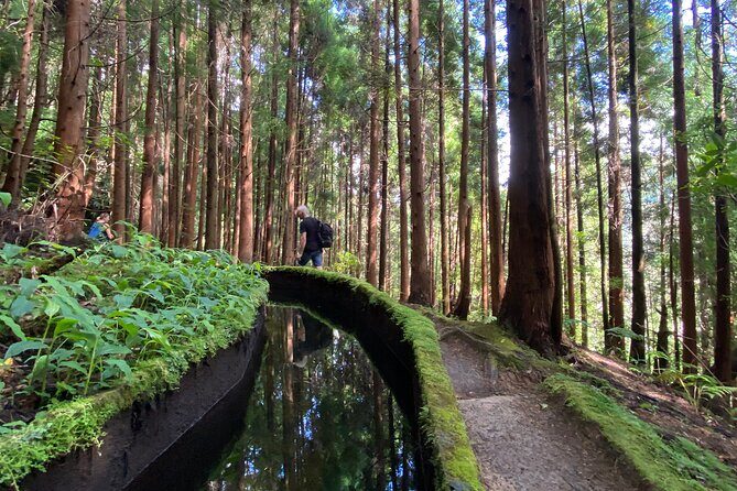 Full Day Hiking Trail in Lagoa do Fogo Sao Miguel - FAQ