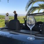 Full day in Cordoba between Vineyards and Olive Trees with a Convertible Car - Practical Details and Considerations