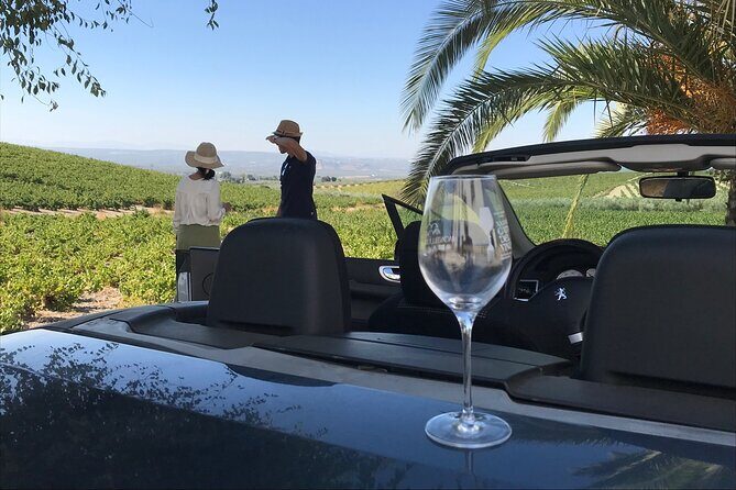 Full day in Cordoba between Vineyards and Olive Trees with a Convertible Car - Practical Details and Considerations