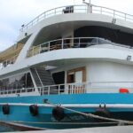 Full Day Istanbul Princes Islands Tour with Lunch - Who Should Consider This Tour?