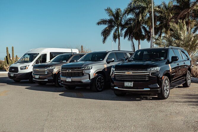 Full-Day La Paz Private Tour from Los Cabos - Transportation, Timing, and Tips