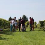 Full Day Loire Valley Wine Tour with lunch: Vouvray & Chinon - Is This Tour Worth It?
