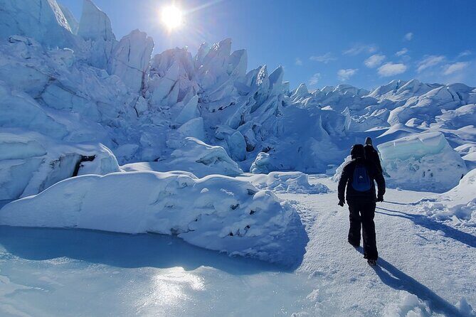 Full-Day Matanuska Glacier Small-Group Excursion - Who Is This Tour Best Suited For?