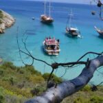 Full-Day Orak Island Boat Trip from Bodrum - Practical Details and Tips