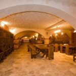 Full-Day Peljesac Wine Tour - Practical details