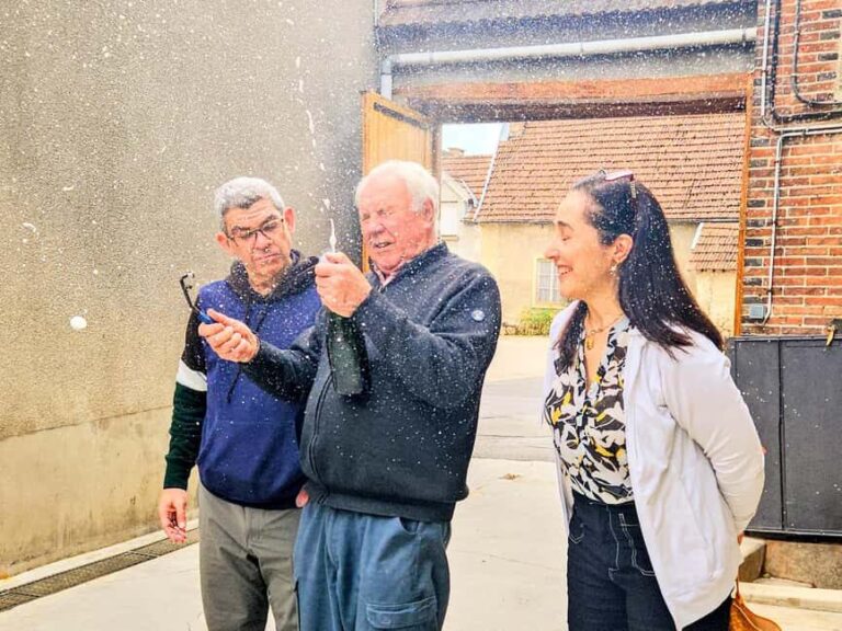 Full Day Pommery Small Group Tour - Exploring the Region: A Day in Champagne