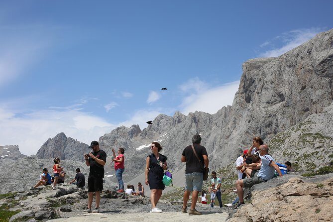 Full Day Private 4WD Tour from Bilbao to Picos de Europa. Fine meals. - Price and Value Analysis