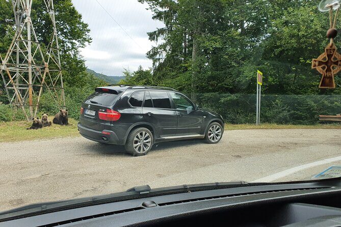 Full-Day Private Carpatian Garden with Dracula's Fortress - Wild Brown Bears - What Travelers Say