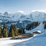 Full Day Private Guided Scenic Train Tour to the Swiss Alps - What We Like About the Tour