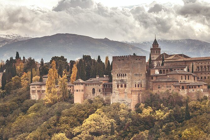 Full-Day Private Guided Tour in Alhambra from Costa del Sol - What Do the Reviews Say?