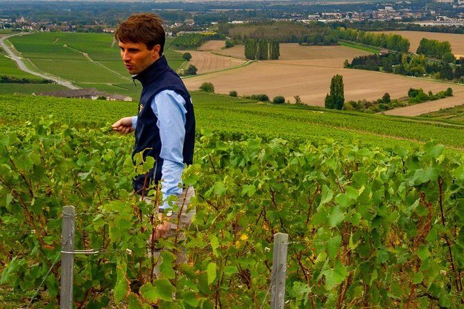 Full-Day Private Guided Tour of Champagne wih Hotel Pickup - The Experience of the Wineries