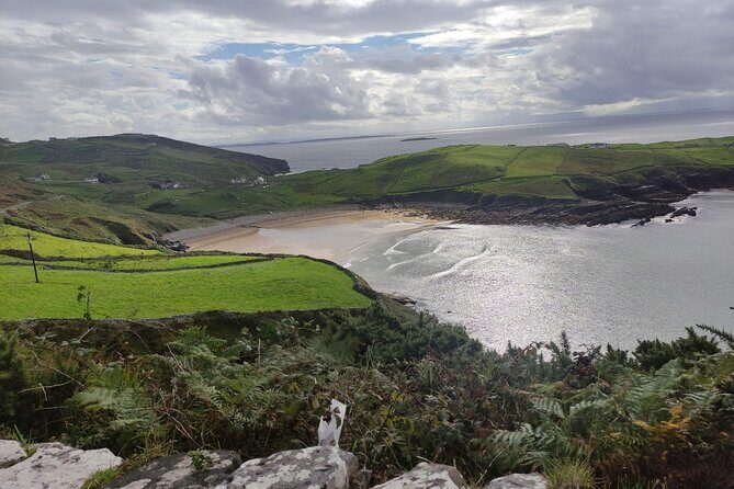 Full Day Private Luxury Tour in Inishowen Donegal - Fort Dunree Military Museum
