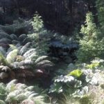 Full-day Private Mizen Head tour from Killarney - Who This Tour Is Best For