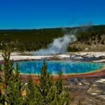 Full Day Private Pet Friendly Yellowstone Tour From Cody Wyo! - The Logistics: What’s Included and What’s Not