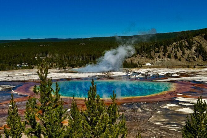 Full Day Private Pet Friendly Yellowstone Tour From Cody Wyo! - The Logistics: What’s Included and What’s Not