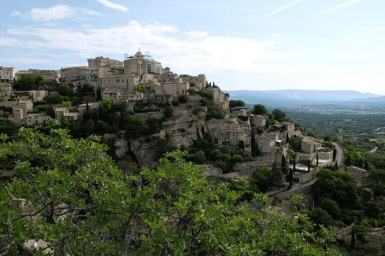 Full Day Private Tour from Avignon - Who Should Consider This Experience?