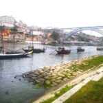 Full Day Private Tour from Lisbon to Porto - Exploring Portos Historic Area