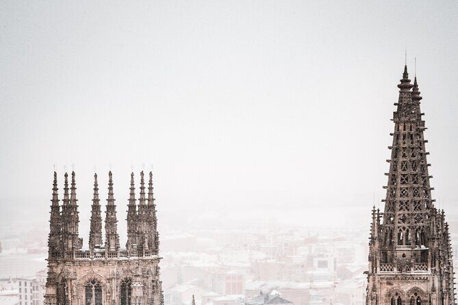 Full-Day Private Tour in Burgos from Madrid with Pick Up - Practical Tips for Potential Travelers