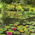 Full Day Private Tour in Furnas Valley Breath of the volcano - What to Expect from the Experience