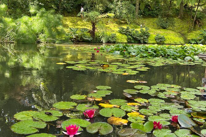 Full Day Private Tour in Furnas Valley Breath of the volcano - What to Expect from the Experience