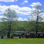 Full-Day Private Tour of Plitvice Lakes National Park from Zadar - The Downsides and Considerations