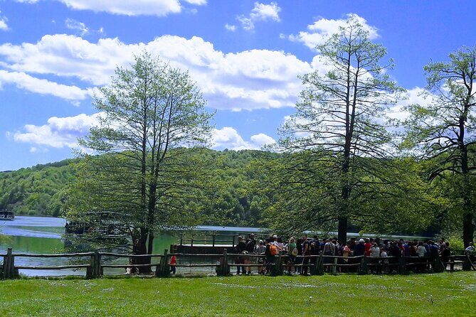 Full-Day Private Tour of Plitvice Lakes National Park from Zadar - The Downsides and Considerations