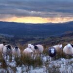 Full day Private tour of the Lake District - The experience from reviews: what travelers love