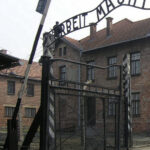 Full-Day Private Trip from Prague to Auschwitz - Birkenau - Our In-Depth Look at the Full-Day Private Trip