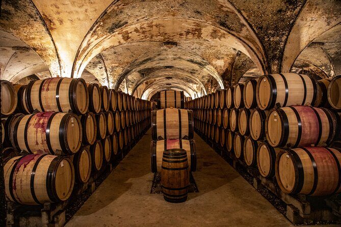 Full-Day Private Wine Tour in Côte de Beaune - What We Loved About This Experience