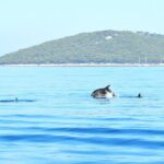 Full Day Sailing Tour - What’s Included and What’s Not