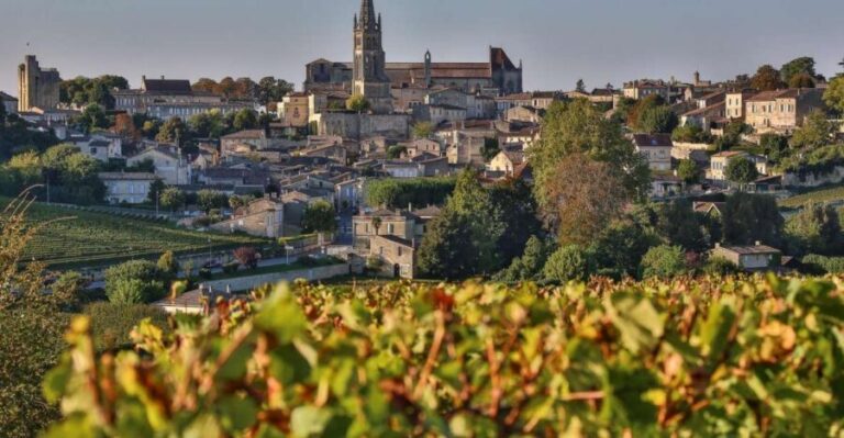 Full-day Saint-Emilion: Village, Undergrounds and Châteaux - Is This Tour Worth the Price?