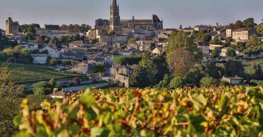 Full-day Saint-Emilion: Village, Undergrounds and Châteaux - Is This Tour Worth the Price?