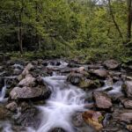 Full Day Sapanca and Masukiye Tour with lunch - Sapanca Lake – A Water Wonderland