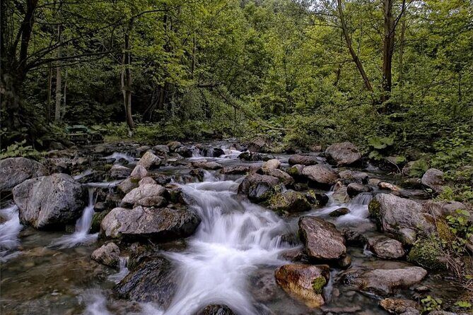 Full Day Sapanca and Masukiye Tour with lunch - Sapanca Lake – A Water Wonderland