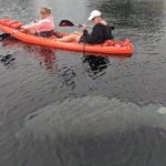 Full Day Tandem Kayak Rental For Two People In Crystal River, Florida - Exploring the Waters of Crystal River