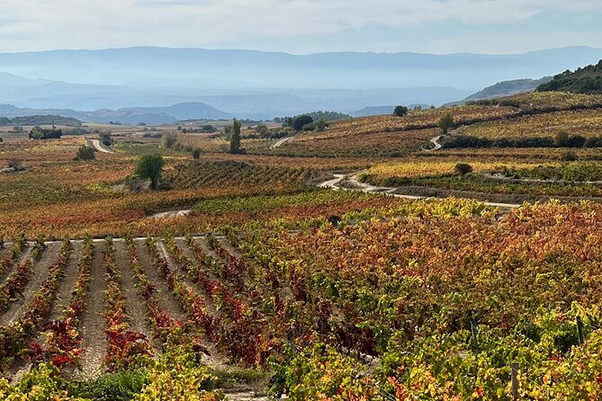 Full Day Tasting The Unknown Rioja Wine Region - Is It Worth the Price?
