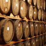 Full-Day Tequila Tour from Guadalajara - Insights from Travelers