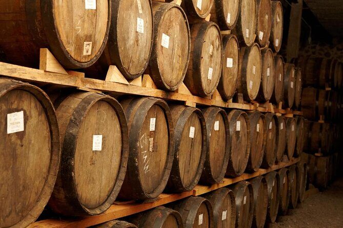 Full-Day Tequila Tour from Guadalajara - Insights from Travelers