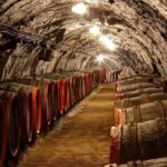 Full-Day Tokaj UNESCO World Heritage Site Private Wine Tour - What the Tour Includes & Why It Matters