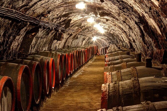 Full-Day Tokaj UNESCO World Heritage Site Private Wine Tour - What the Tour Includes & Why It Matters