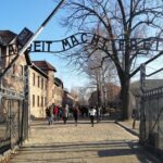Full-Day Tour From Warsaw to Auschwitz (guided) and Krakow by car - The Sum Up